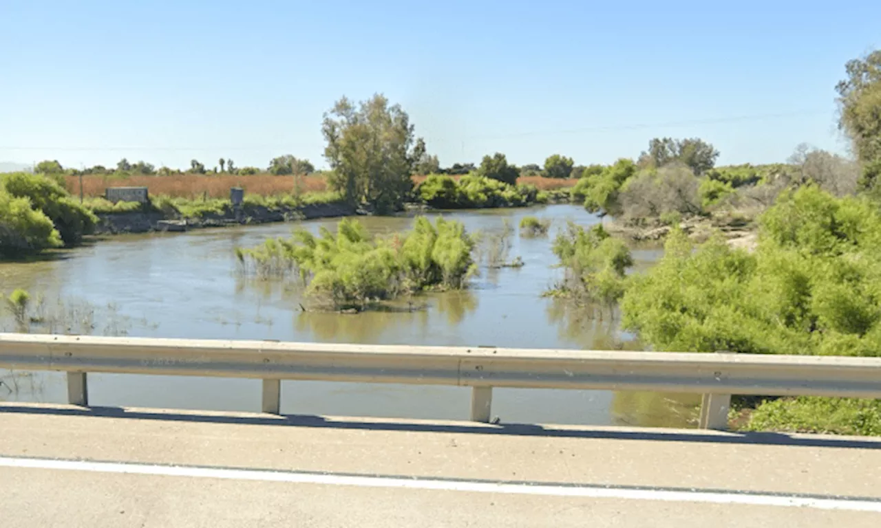 Mother missing in San Joaquin River after going in to rescue child