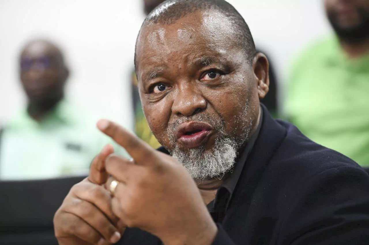 Mantashe: SA should curb Shell's oil exploration over its exit of petrol station business