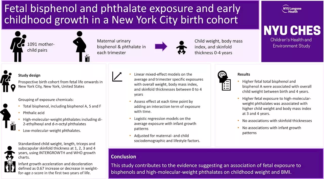 Prenatal exposure to bisphenol and phthalate linked to increased child obesity, study finds