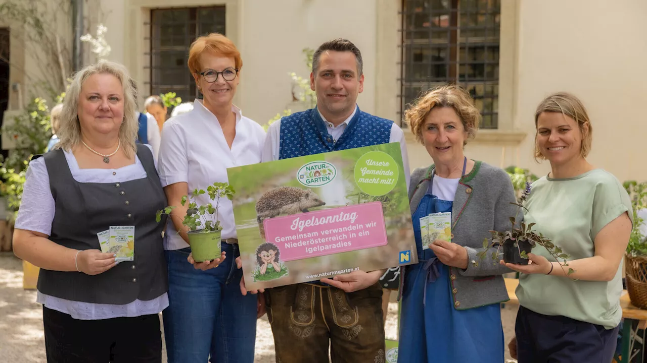 Enzesfeld-Lindabrunn: So wird jeder Garten fit für die Igel