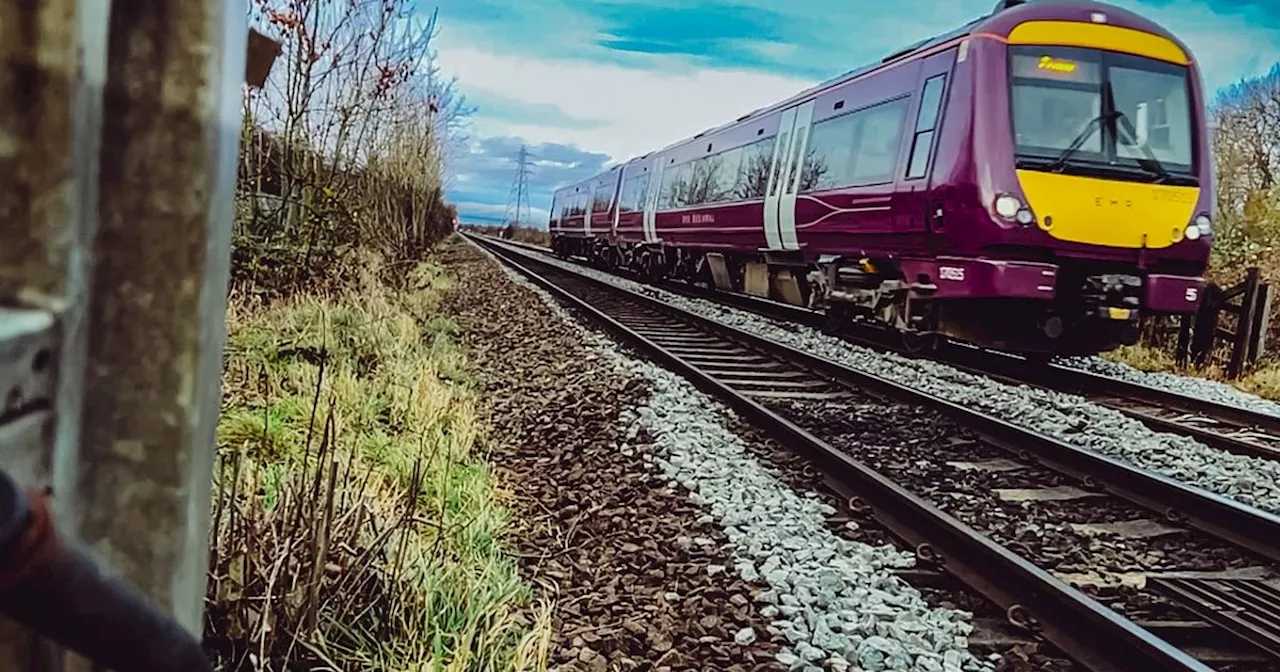 Supermarket trolley disrupts trains on busy railway line