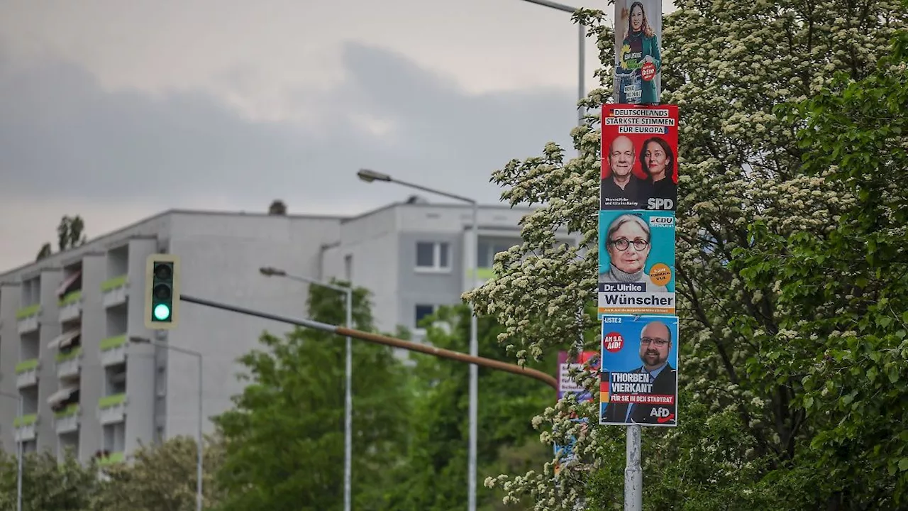 Sachsen-Anhalt: Vandalismus: Parteien hängen Plakate weit nach oben