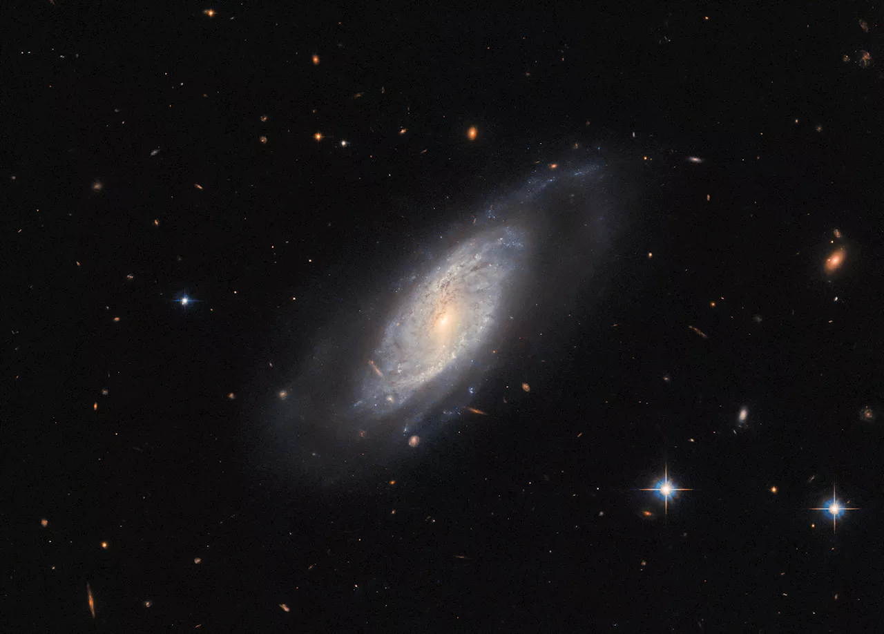 Hubble Space Telescope glimpses spiral galaxy UGC 9684