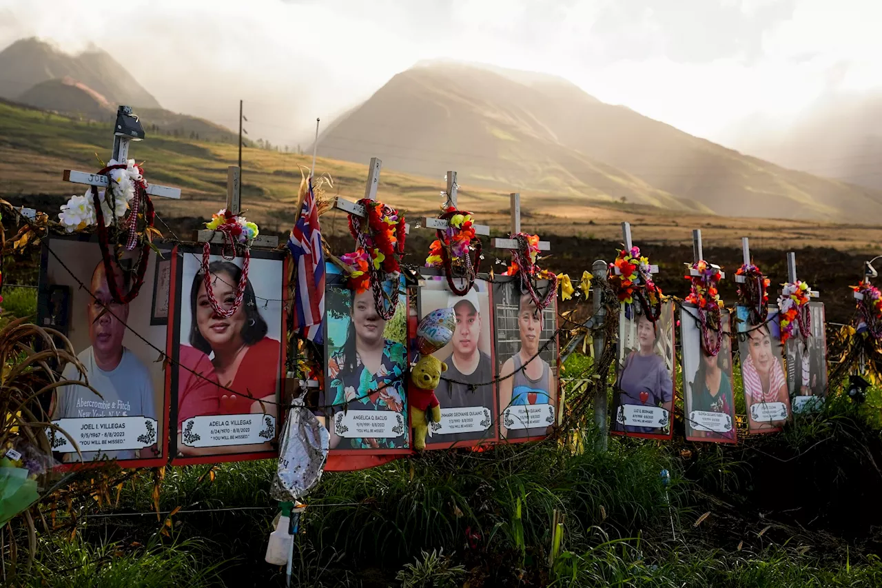 No sign of widespread lead exposure from Maui wildfires, Hawaii health officials say