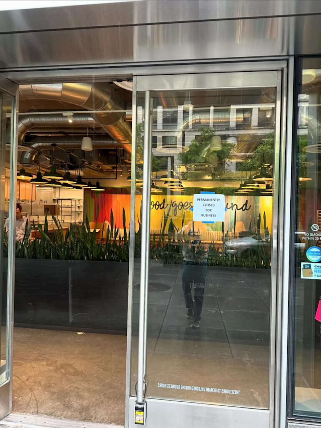 Flower Child Closed in Foggy Bottom