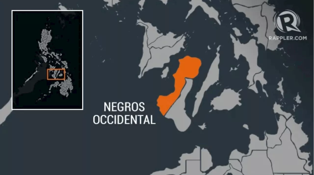 CHR launches probe into Negros Occidental killings as NPA admits involvement