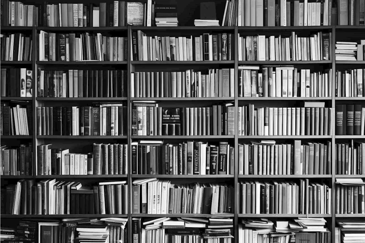 The Pulse of a Thriller: Why Character Development is Crucial