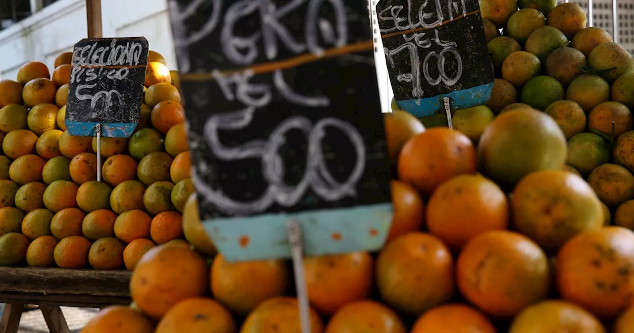 Brazil's orange output to hit over 30-year low on disease, weather