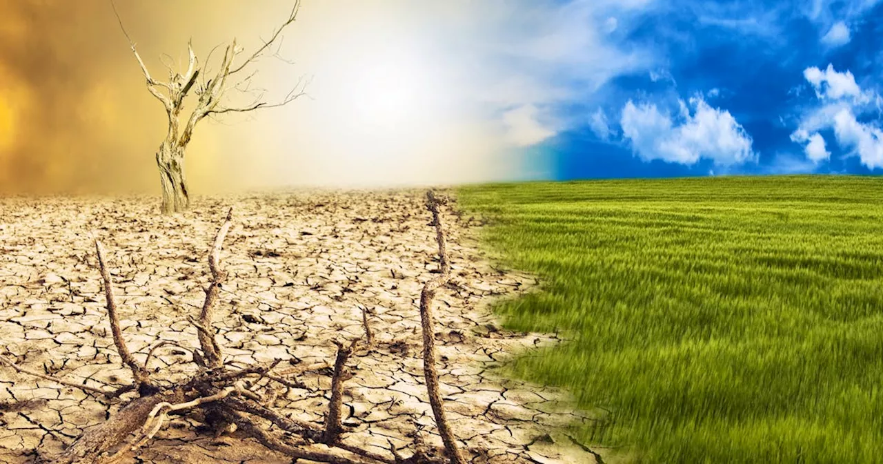 Cape Breton communities receive Community Climate Capacity funding
