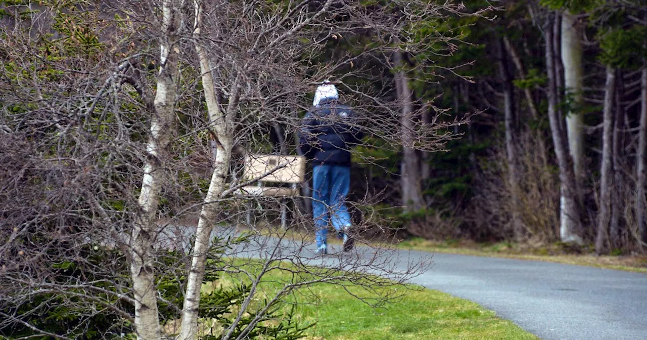 No suspect located after naked man reported on Mount Pearl walking trail