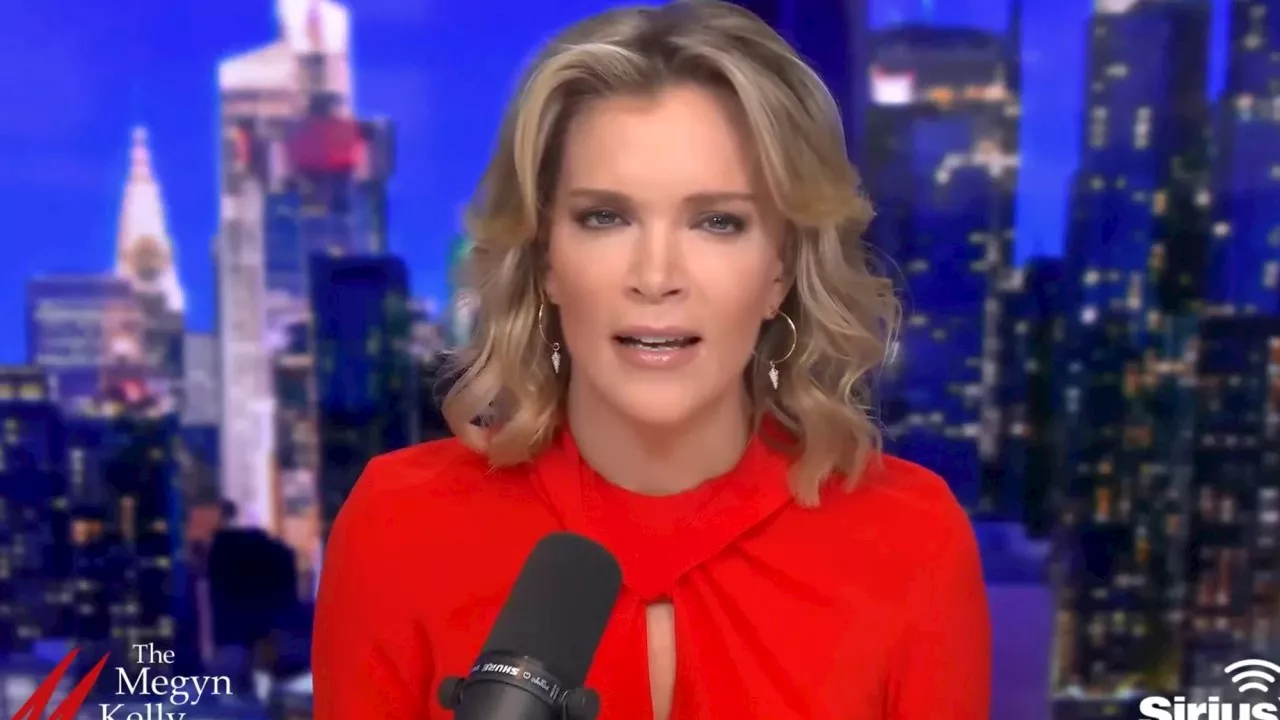 Megyn Kelly slams ‘sleazy’ Stormy Daniels for ‘#MeToo revisionism’