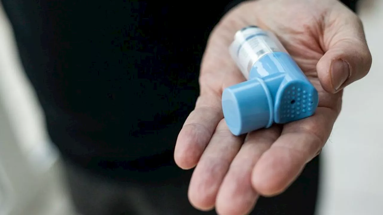 Gesundheit: Krankenkasse: Immer mehr Asthma-Patienten