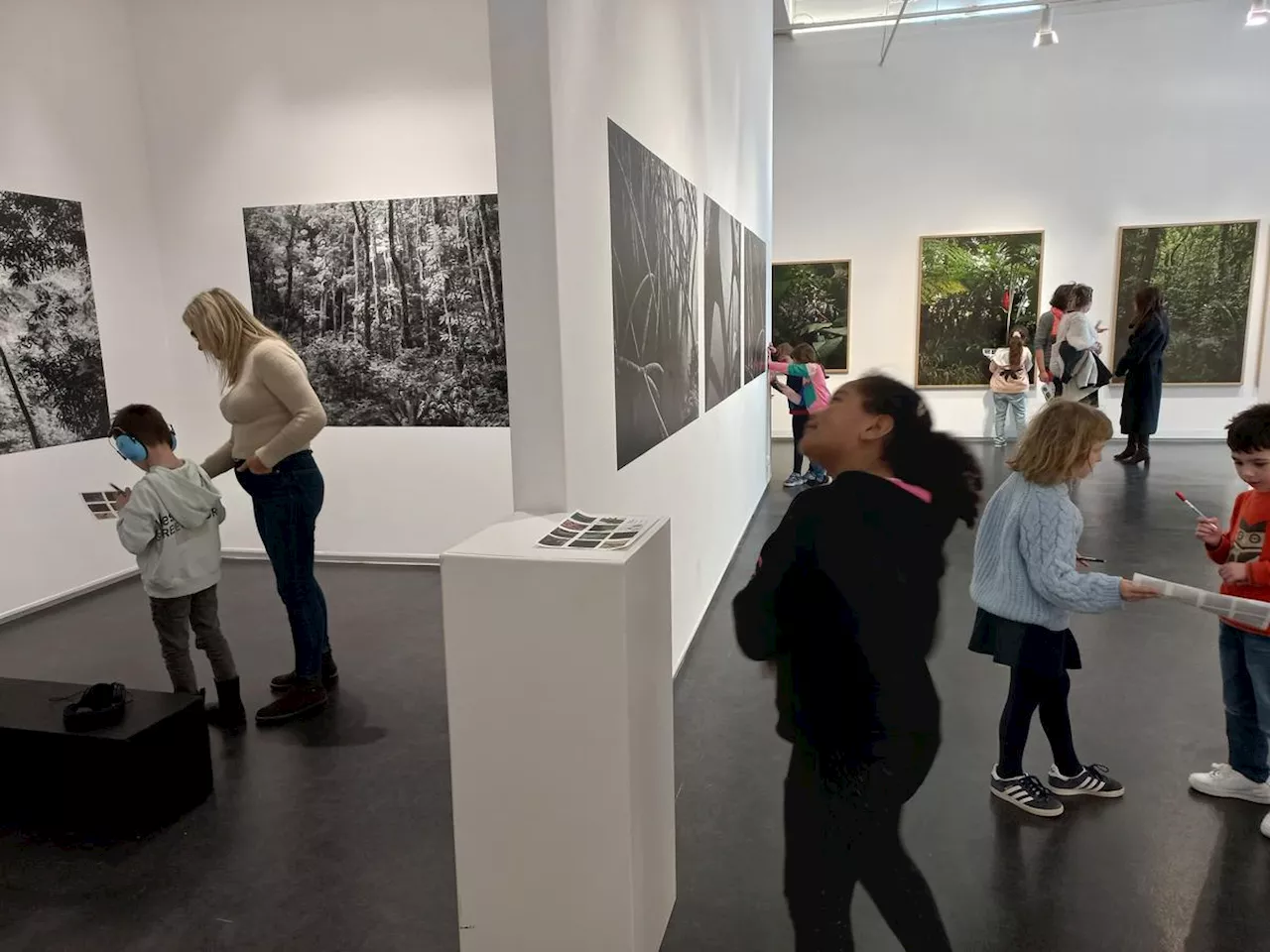 Royan : Colette Césaire à l’Espace d’art contemporain ce samedi 11 mai