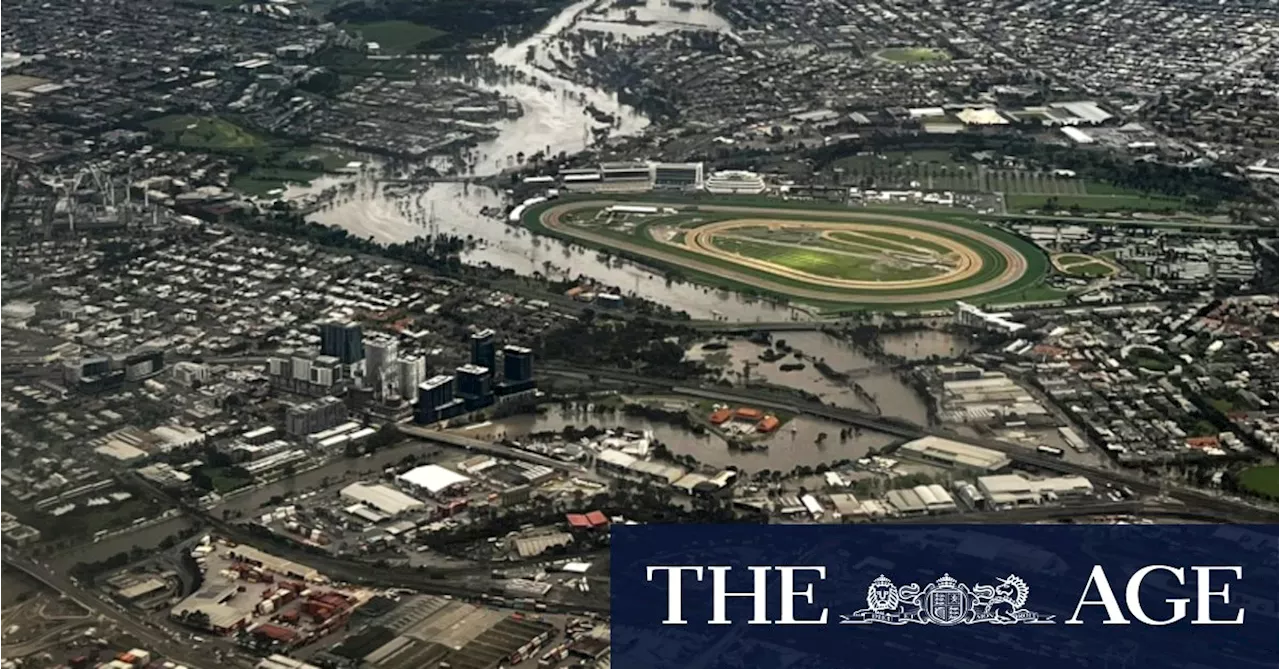 ‘Nobody erred on the side of caution’: Racecourse flood wall mistakes identified