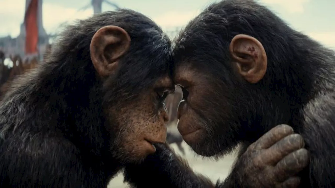 The rebooted Planet of the Apes series looks perpetually forward to an uncertain future