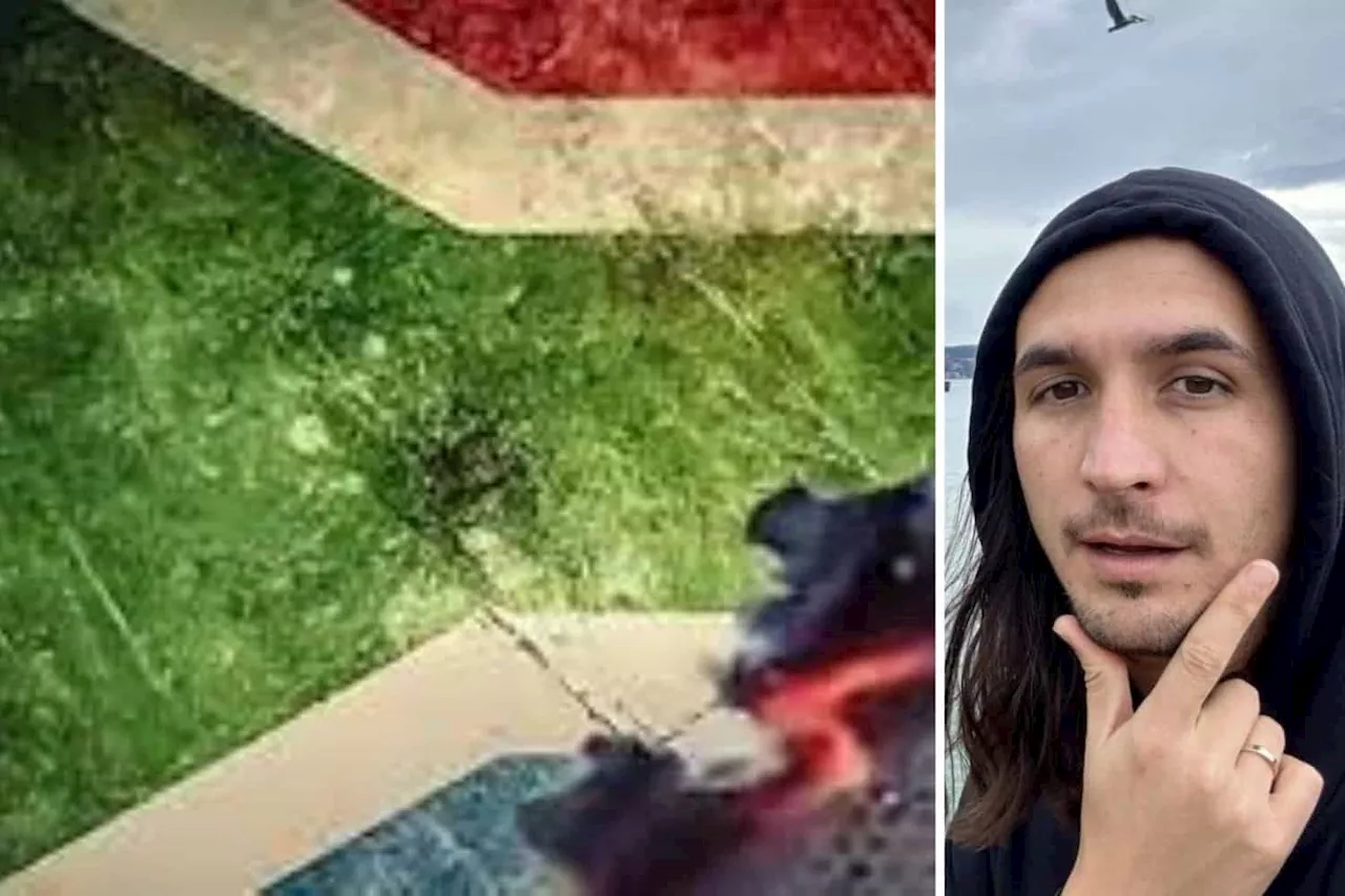 ‘Flag is Burning’: The Kiffness sets election campaign trail ablaze with ANC parody [Video]