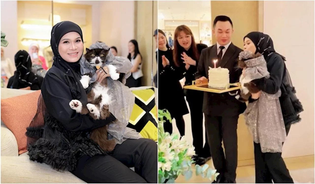 [Video] Kucing Milik Pengasas Bawal Exclusive Curi Perhatian, Sambut Hari Jadi Di Butik Louis Vuitton