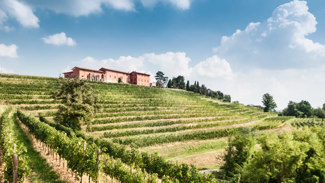 A Prepotto in Friuli, nell'estremo nord est, dove la pace è tra vigne e colline