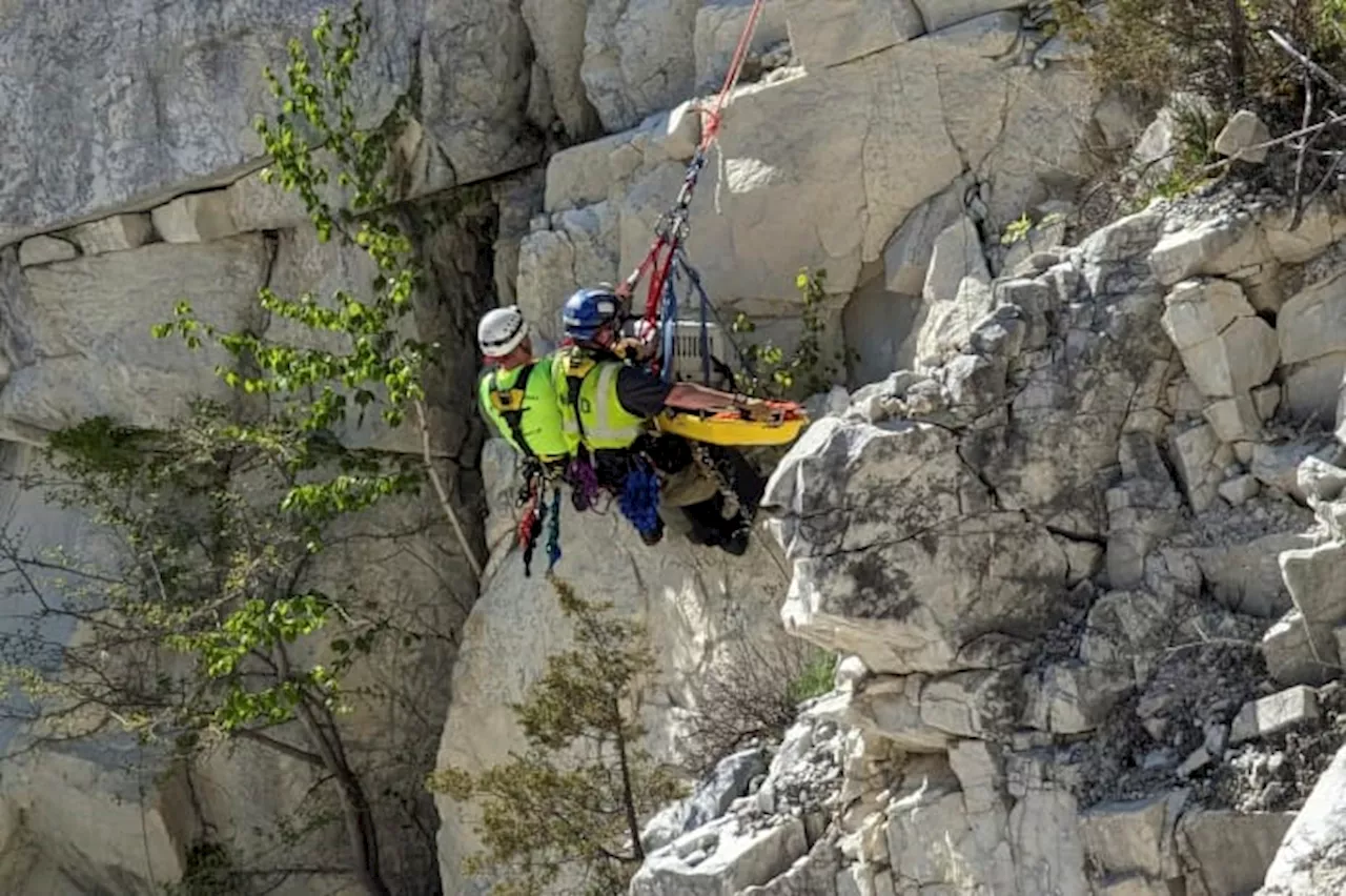 Rope team rappels down into a rock quarry to rescue a mutt named Rippy