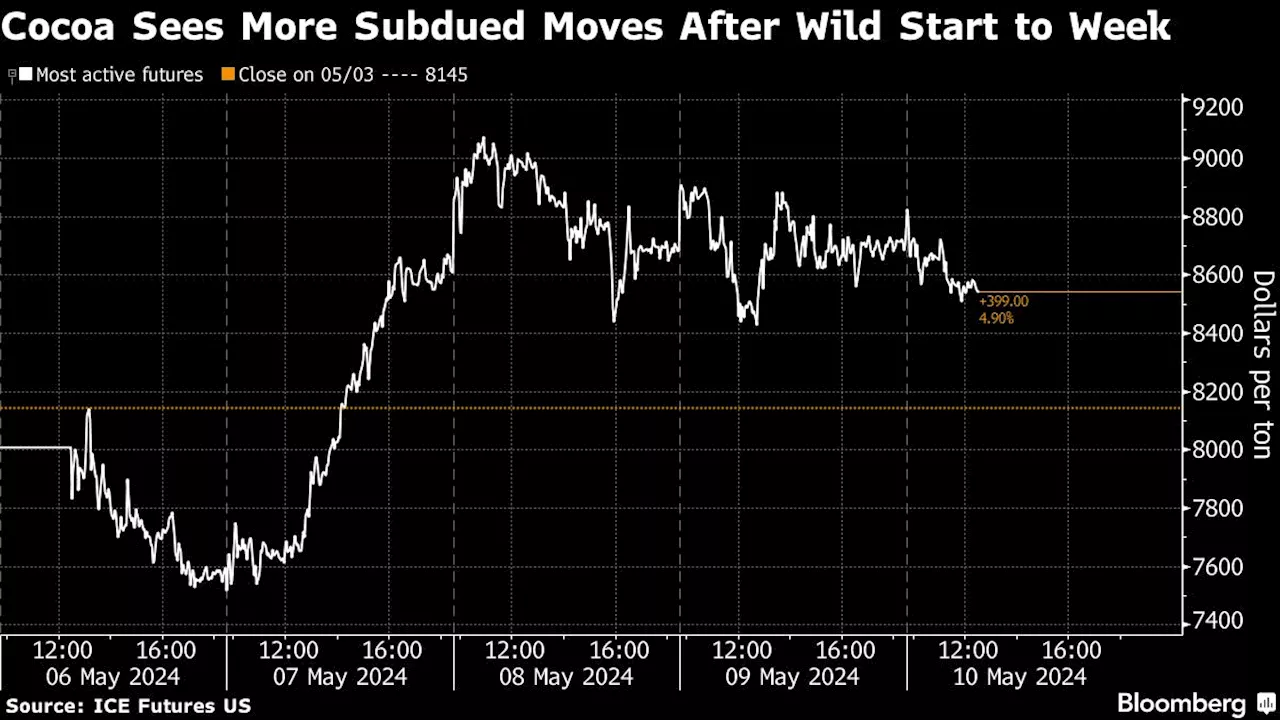 Cocoa Eases as Rabobank Says Historic Rally Has Probably Peaked