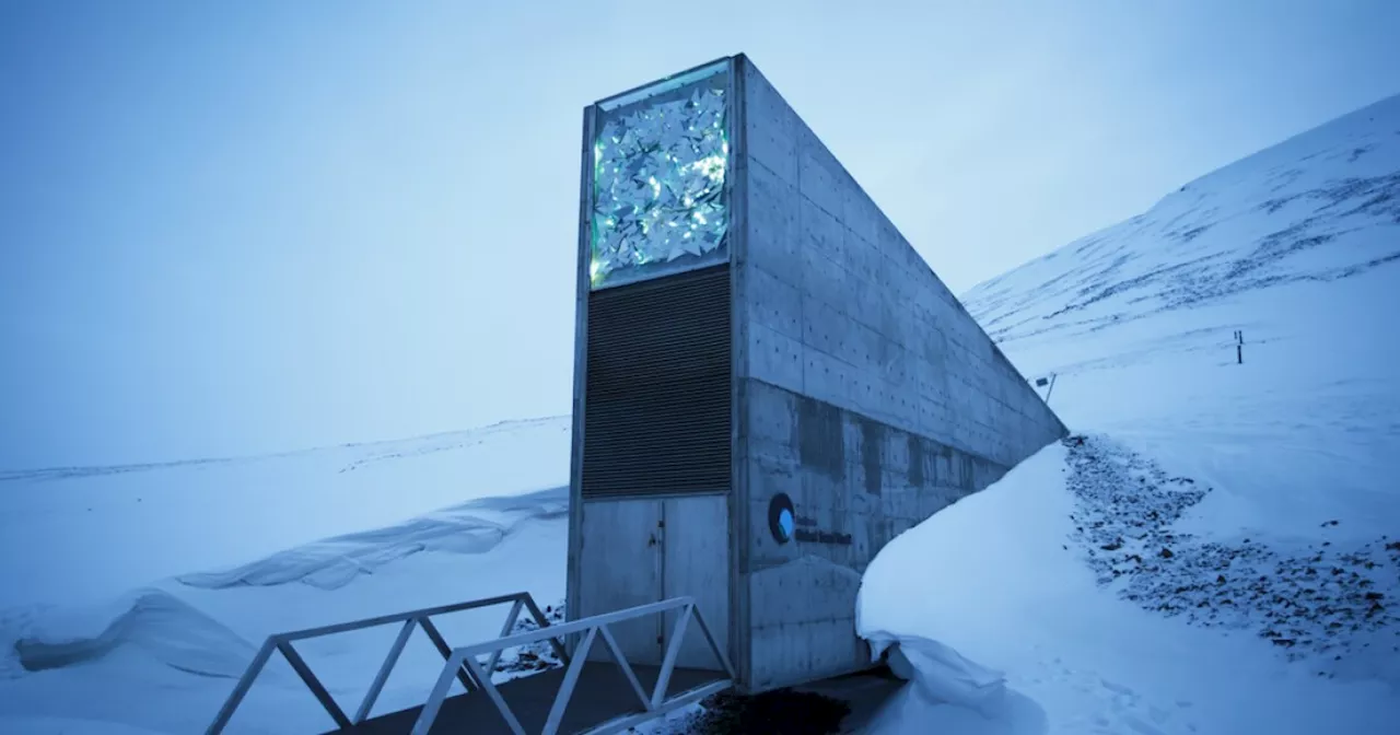 Scientists honored as 2024 World Food Prize Laureates for roles in world seed vault project