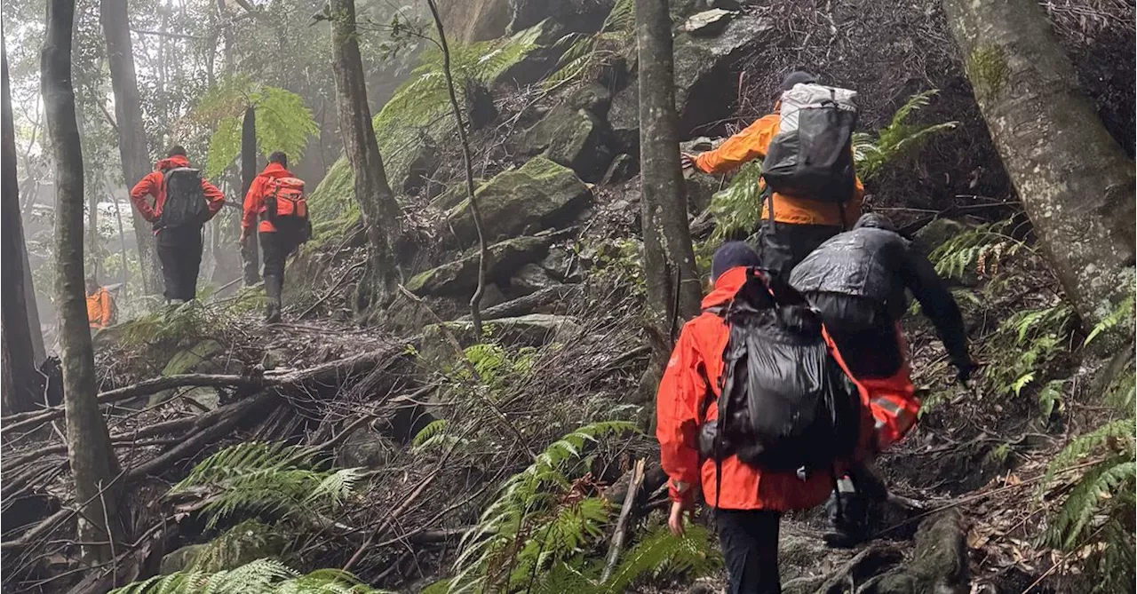 Missing bushwalker rescued after near 24-hour search in NSW Blue Mountains