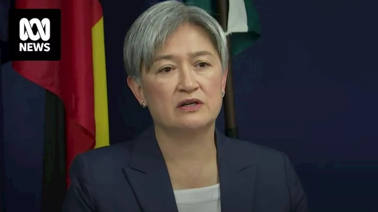 Penny Wong says Australia could recognise Palestinian statehood before Israel-Palestine peace process complete