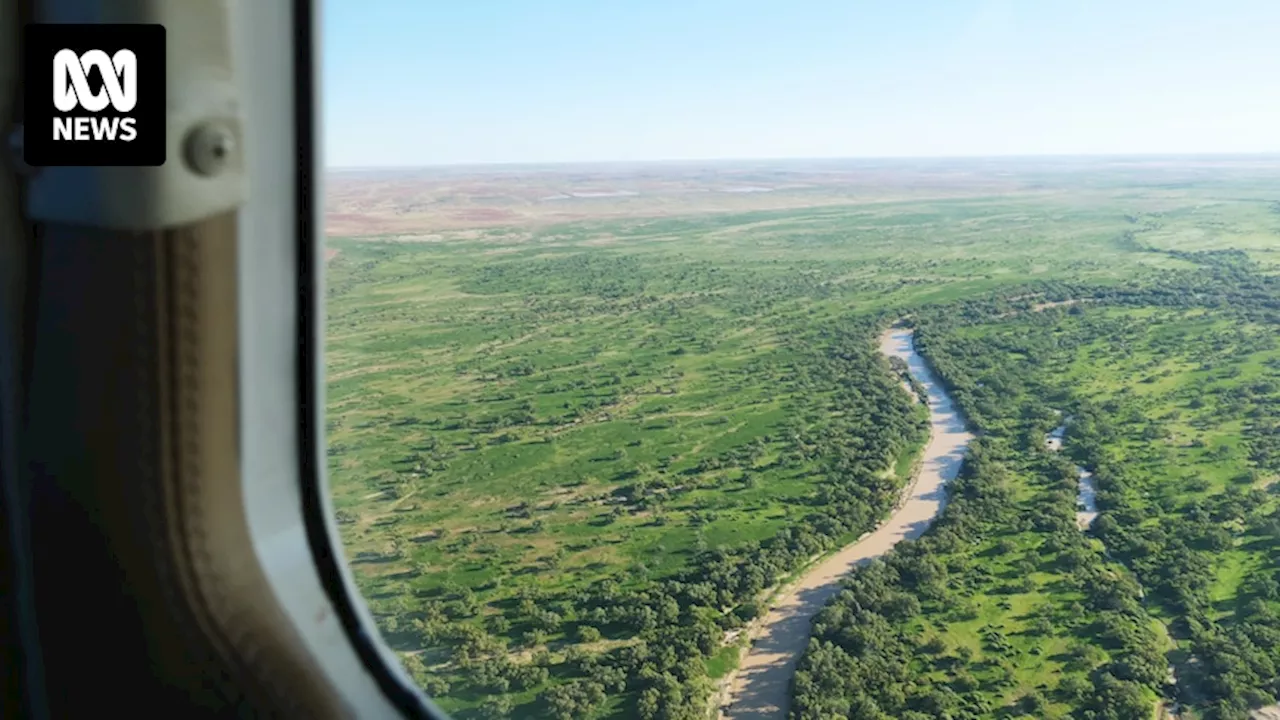 Queensland declared drought free for the first time in more than a decade