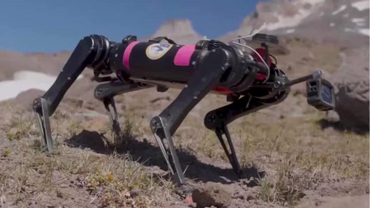 A new kind of rover: Dog-like robot trained to explore the moon