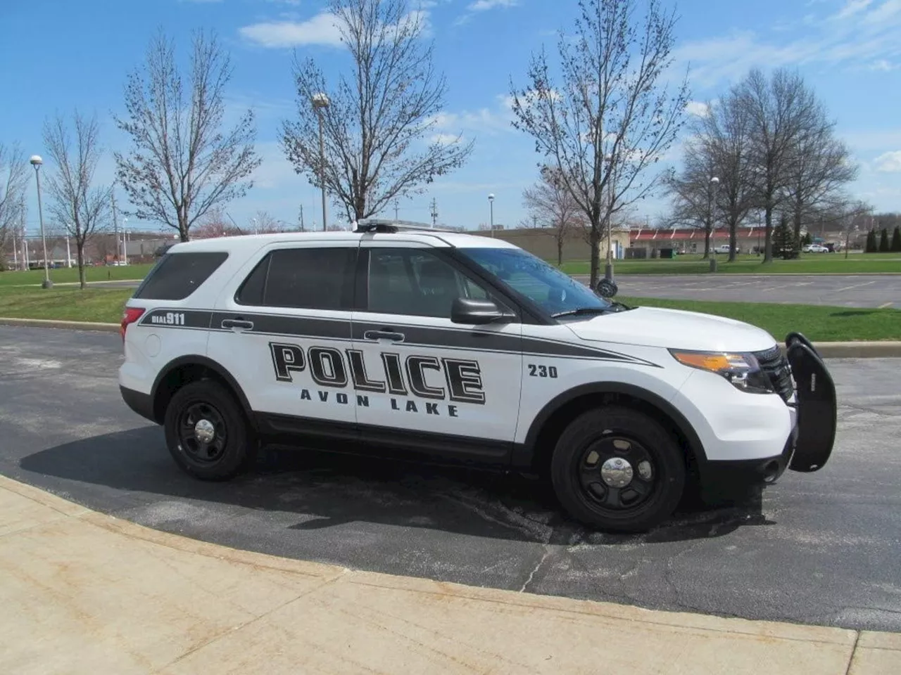 Driver charged with stealing a car and gun: Avon Lake police blotter