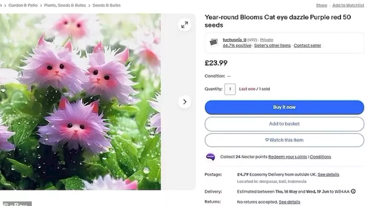 La truffa dei fiori che sembrano gattini: venduti su eBay, sono in realtà immagini create con l'intelligenza artificiale