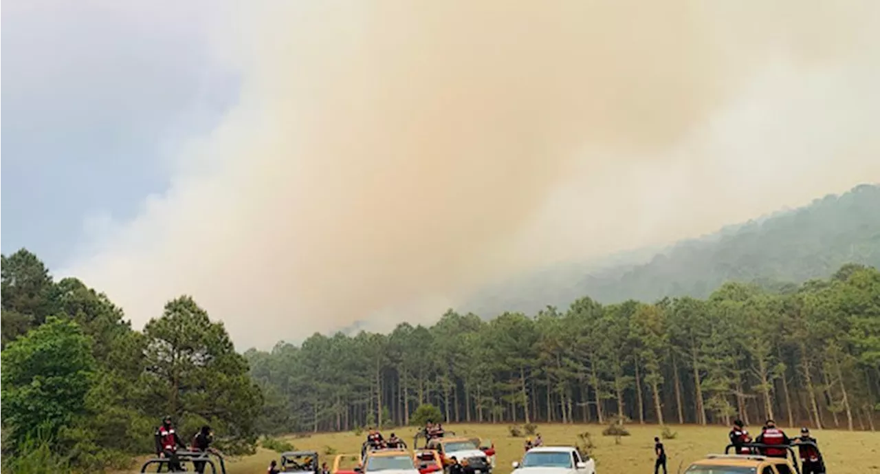 Aumentan a 500 las hectáreas afectadas por incendio descontrolado en Ciudad Victoria