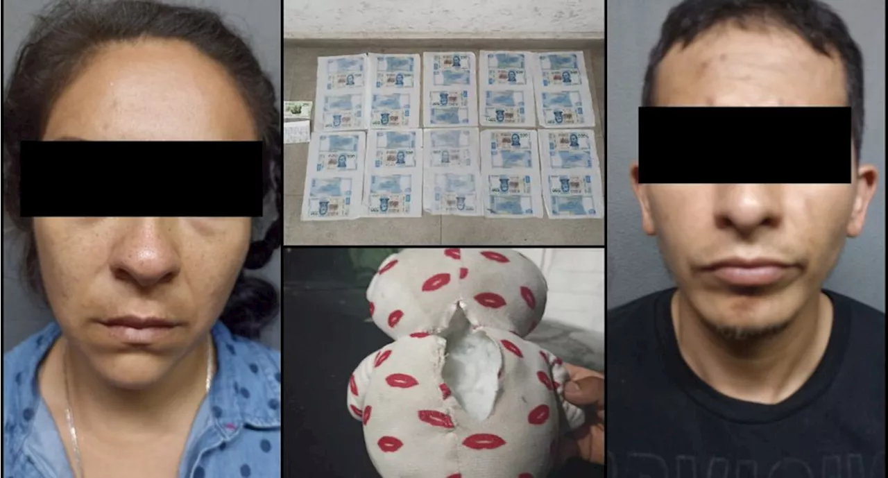 Cae pareja con billetes falsos de 500 pesos escondidos en osito de peluche en Nuevo León