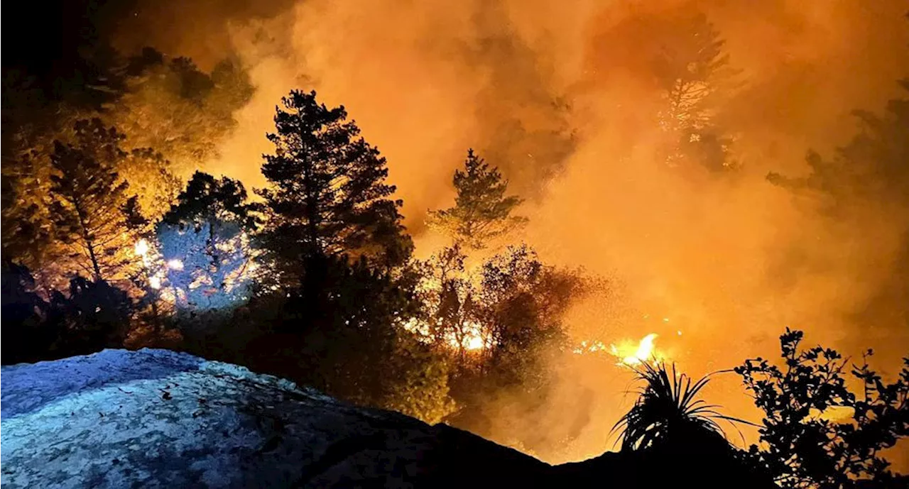 Consumen 12 incendios simultáneos bosques de Oaxaca; retienen en Mitla al secretario de Cultura