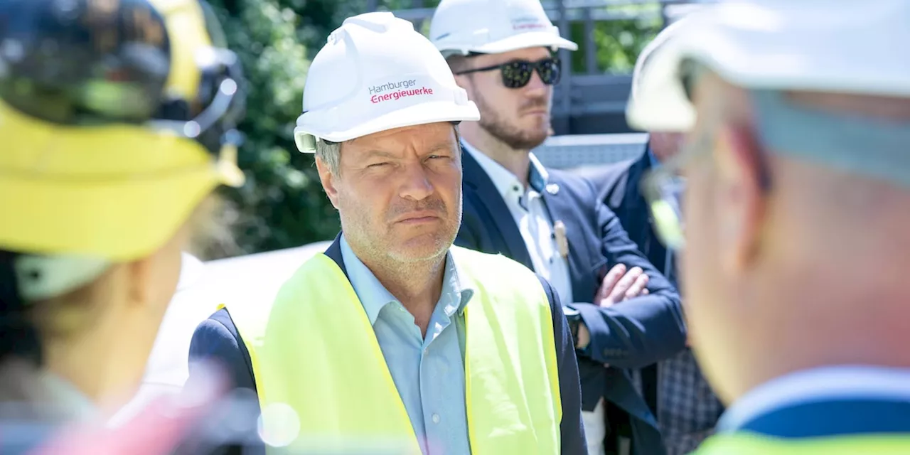 So wollen Ihnen Netzbetreiber günstigeren Strom liefern als Habeck plant