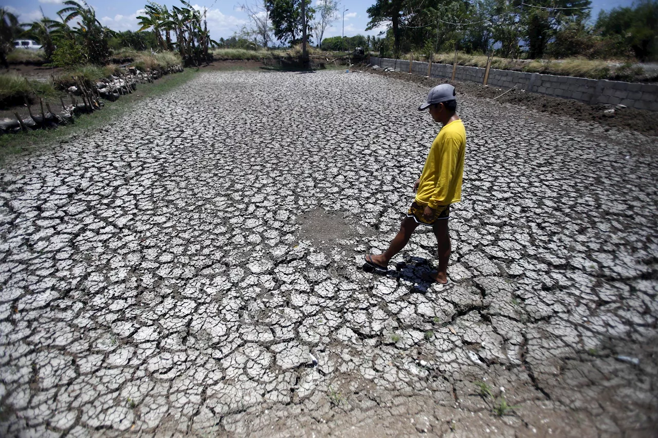 El Niño damage to agriculture now over P6 billion