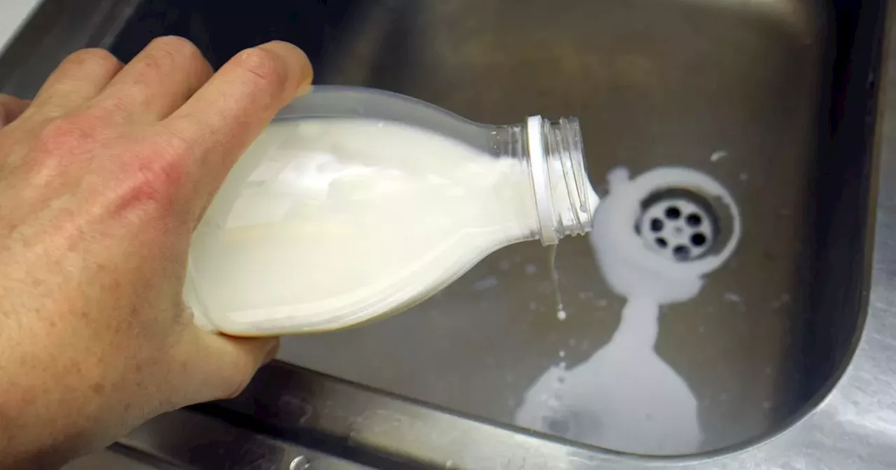 Irish milk urgently recalled over safety fears as public advised 'do not drink'