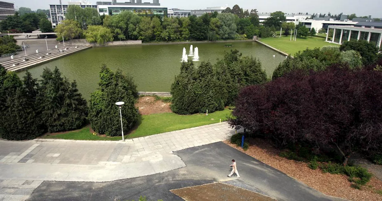 UCD students establish pro-Palestine encampment at Belfield