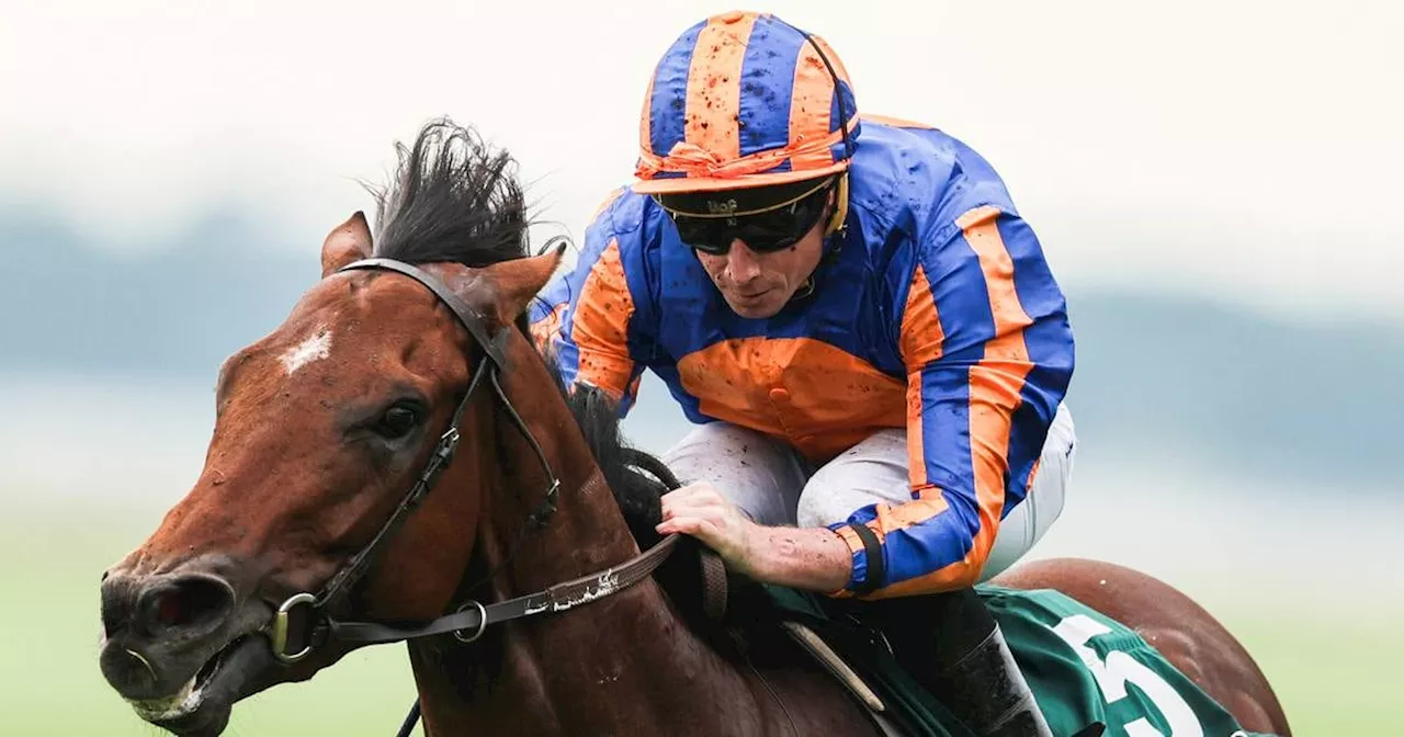 Henry Longfellow could step out of City Of Troy’s shadow and secure French 2,000 Guineas glory