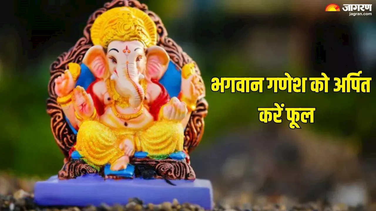 Vinayak Chaturthi 2024: विनायक चतुर्थी पर भगवान गणेश को अर्पित करें ये फूल, सभी मुरादें होंगी पूरी