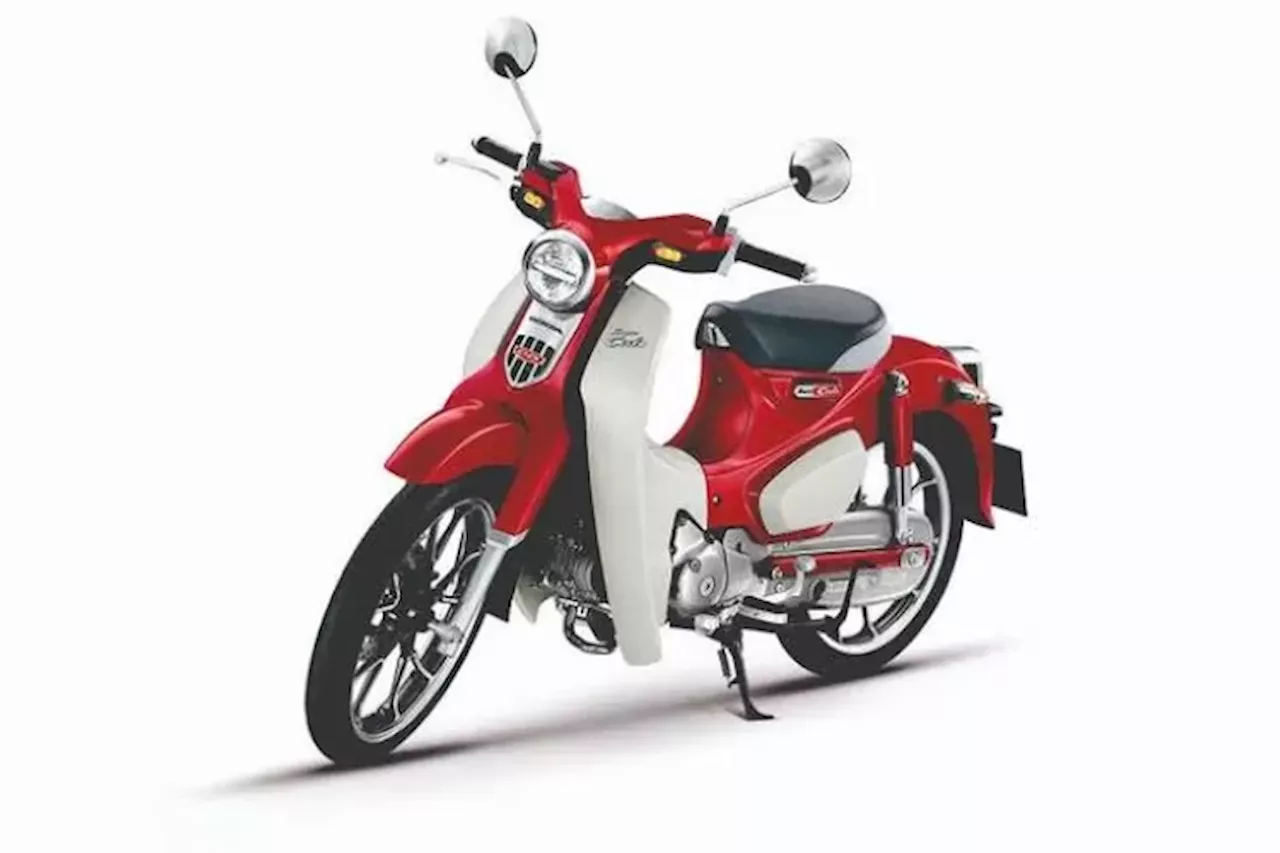 Sekarang Harganya Nggak Masuk Akal, Siapa Sangka Honda Super Cub Dulunya Termasuk Sepeda Motor Murah