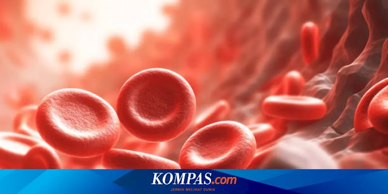 Mengenal Kondisi Thalasemia, Berikut Penyebab dan Gejalanya