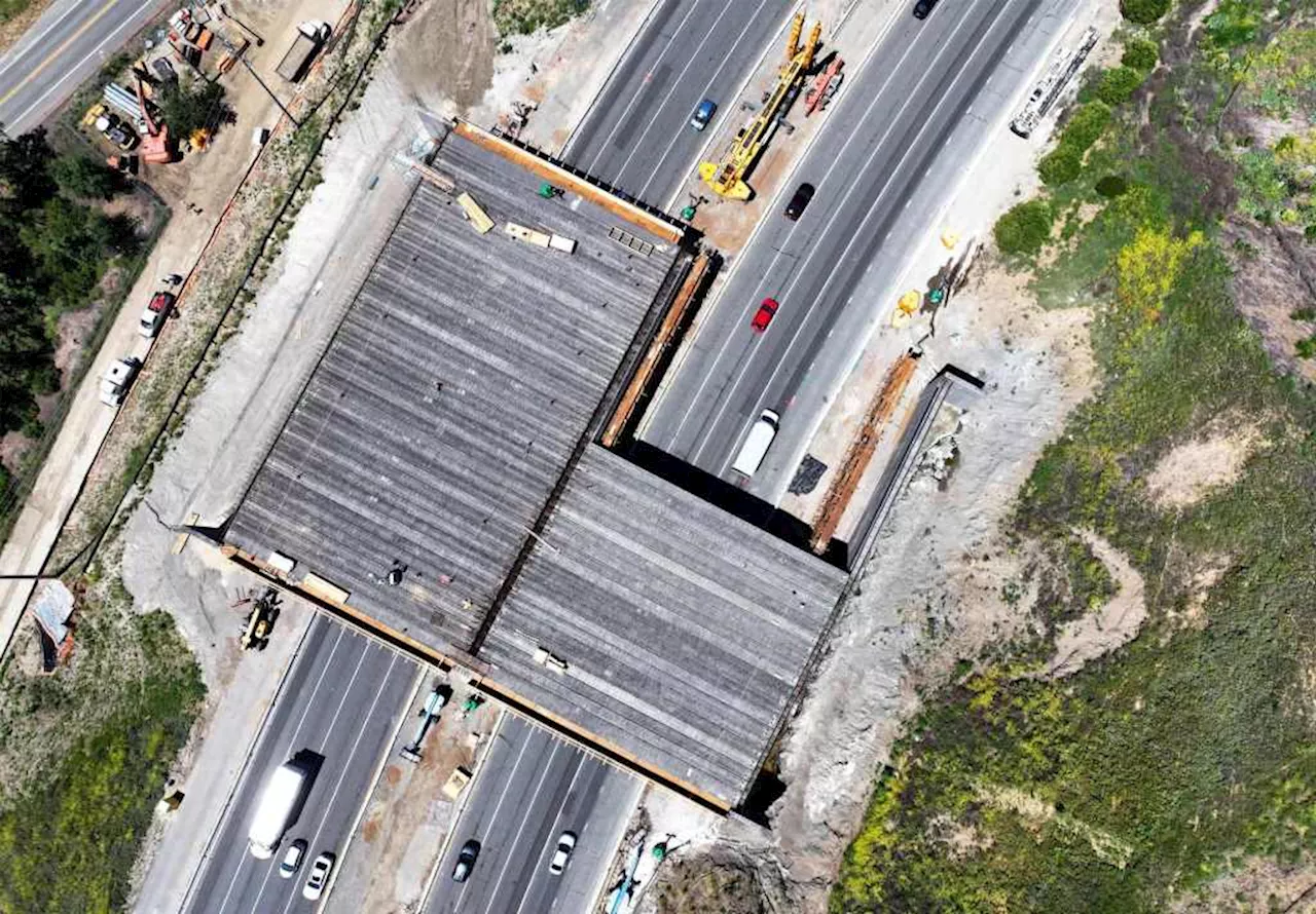 Construction of the Wallis Annenberg Wildlife Crossing over the 101 is apace