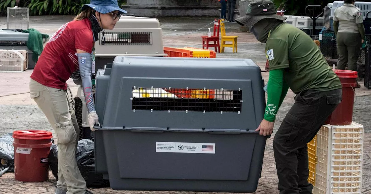 Fermeture des zoos au Costa Rica: 300 animaux sont envoyés dans des refuges