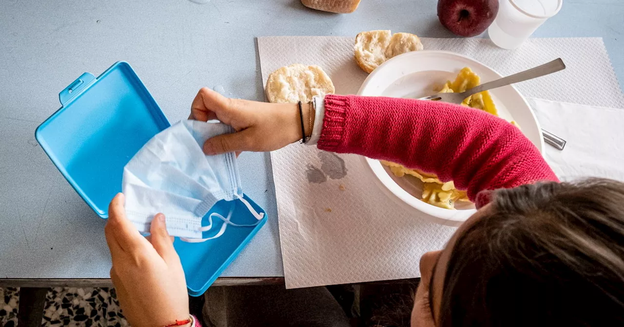 Emilia Romagna, &#034;intossicati a merenda&#034;: in ospedale dopo i pomodorini