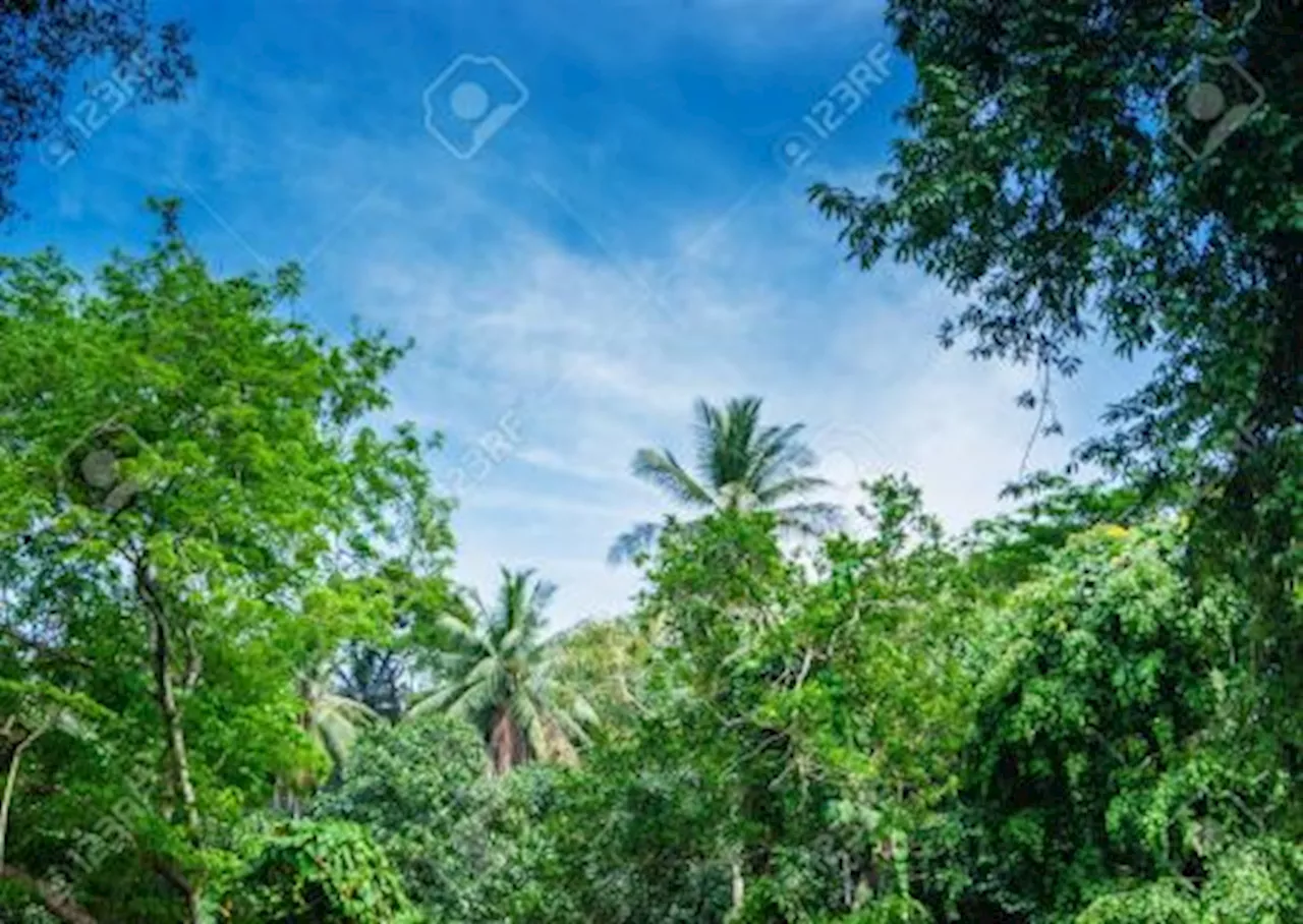 Pertama di Asia, Fakultas Biologi UGM Buka Prodi Profesi Kurator Keanekaragaman Hayati