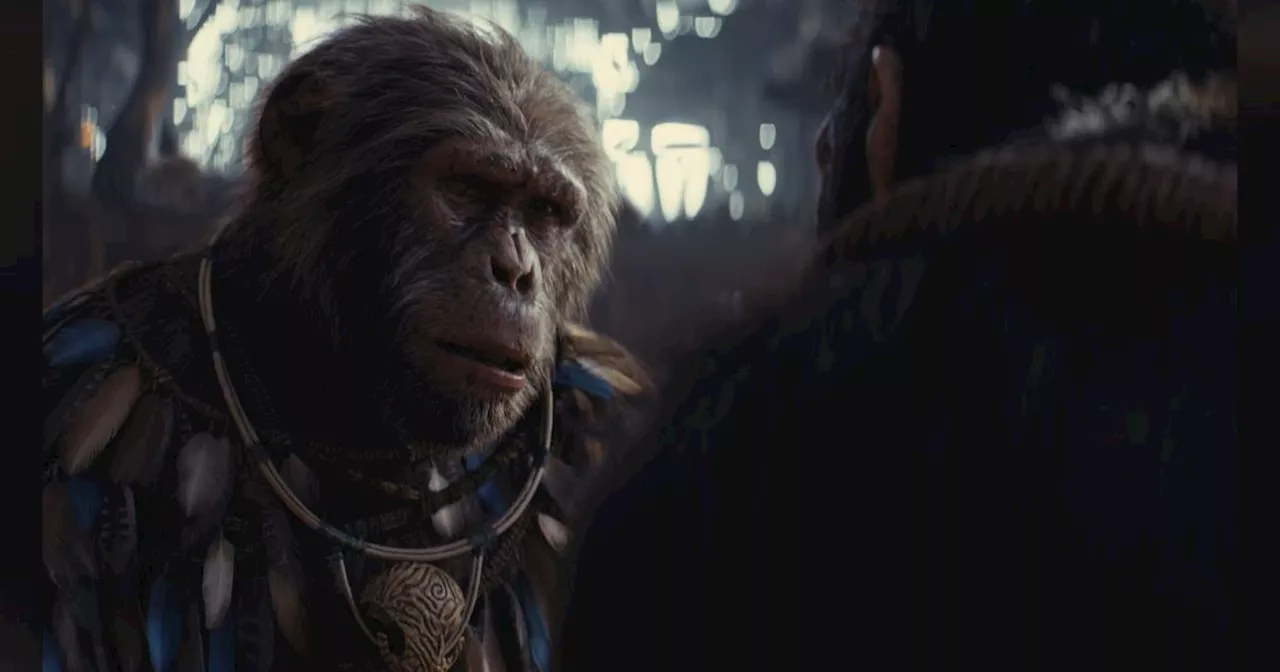 Review Kingdom of The Planet Apes, Tampilkan Visual Megah dengan Balutan Alur Hangat