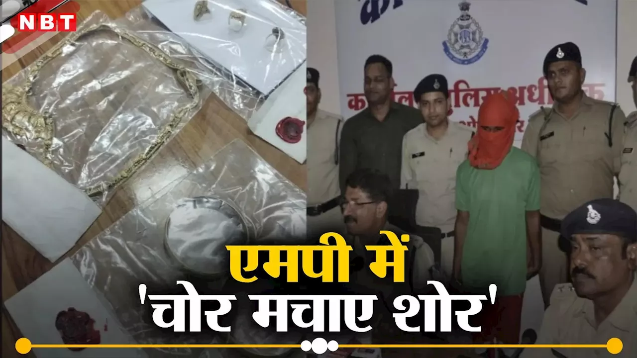 Spider Man Thief: MP का 'स्पाइडरमैन चोर', जिसने 15 साल तक पुलिस को छकाया, ठाठ देखकर असली वाला भी खौफ खा जाए