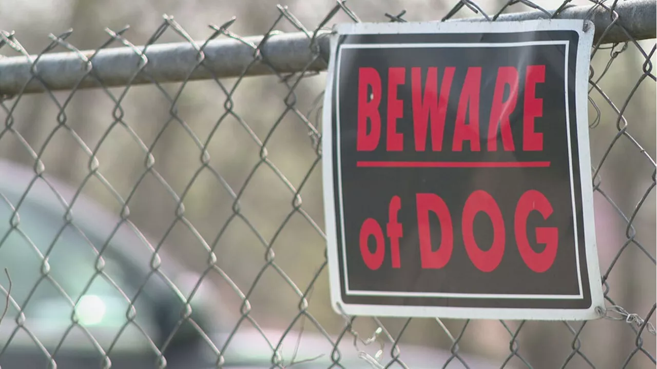 'Pseudonym program' for reporting dangerous dogs proposed to curb fear of retaliation