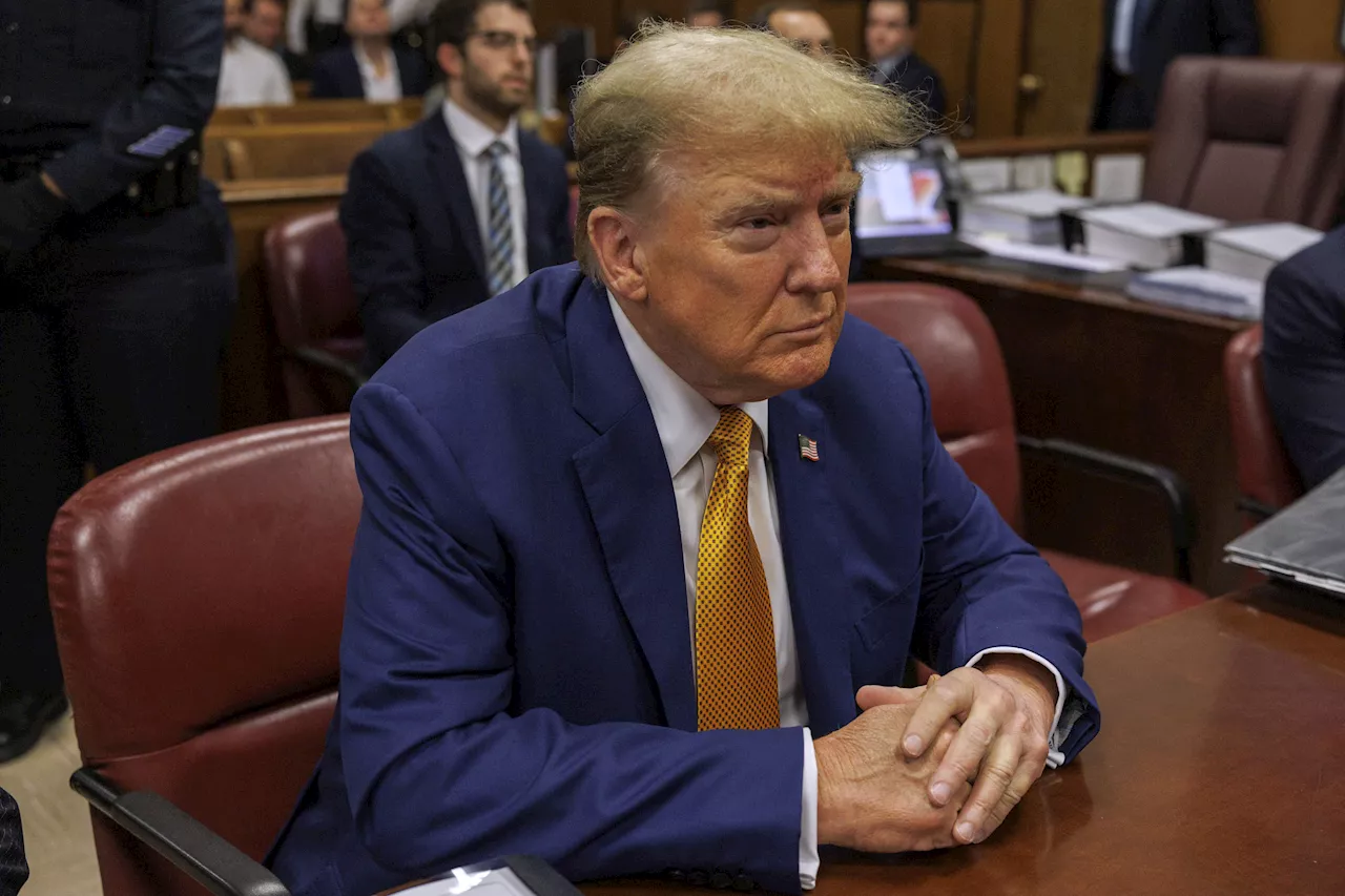 Donald Trump Just Had His 'Best 5 Minutes' in New York Trial—Legal Analyst